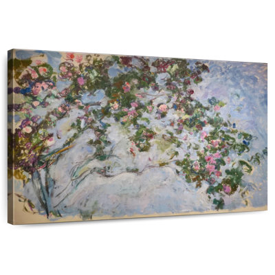 Roses 1925-26