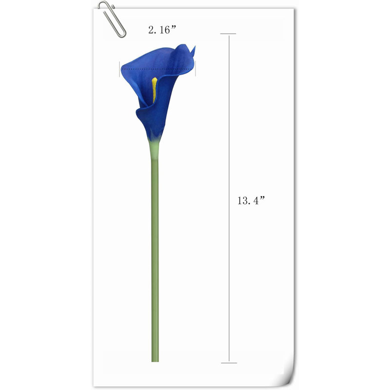 20 pièces de fleurs de lys Calla, Bleu foncé