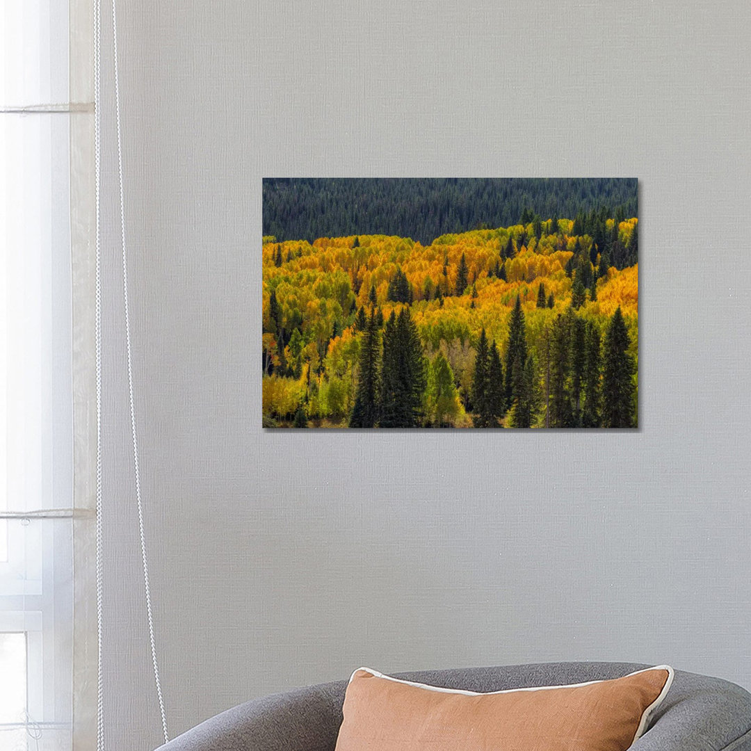 Autumn Flames von Bill Sherrell - Giclée auf Leinwand ohne Rahmen