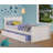 Jacquline Solid Wood Platform Bed with Trundle-563052651