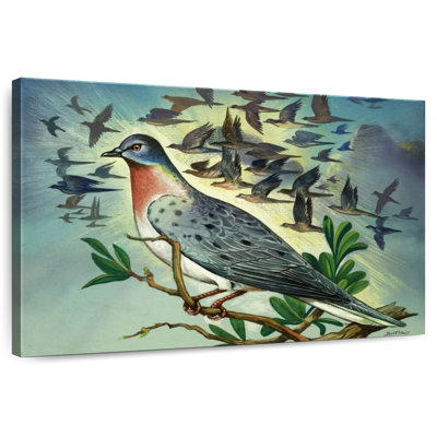 Passenger Pigeons