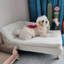 Coussin pour chien confortable et imperméable Comfy-1267820615