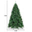 Sapin de Noël vert Douglas-337651270