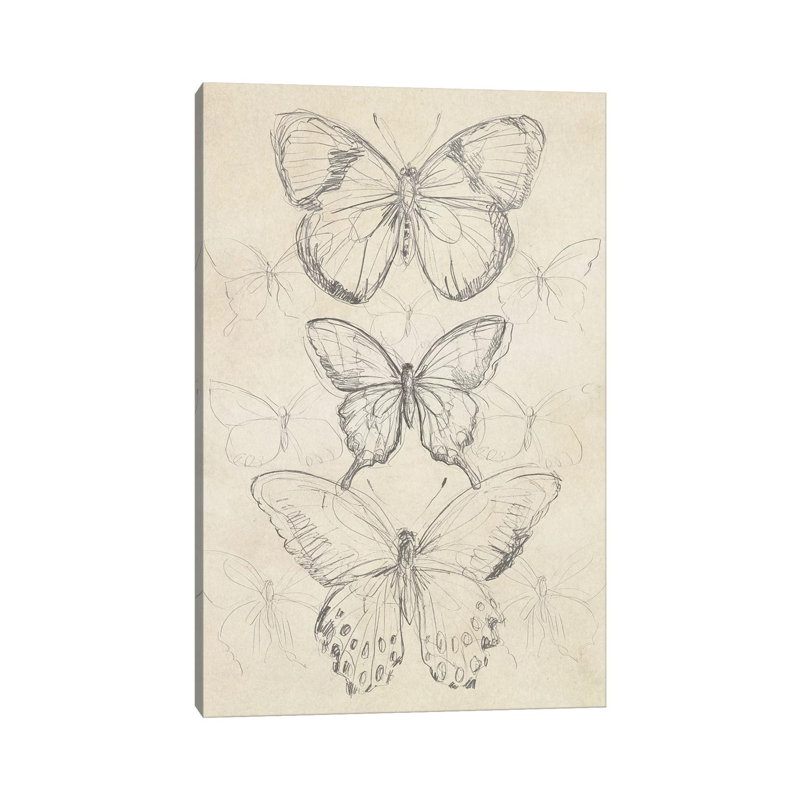 Vintage Butterfly Sketch I by June Erica Vess - Wrapped Canvas Gallery-Wrapped Canvas Giclée, 66.04 cm H x 45.72 cm W