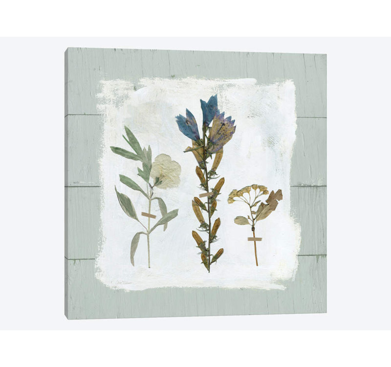 Carol Robinson - Wrapped Canvas Print, 66.04 cm H x 66.04 cm W x 1.91 cm D