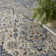 Sandy Indoor / Outdoor Rug