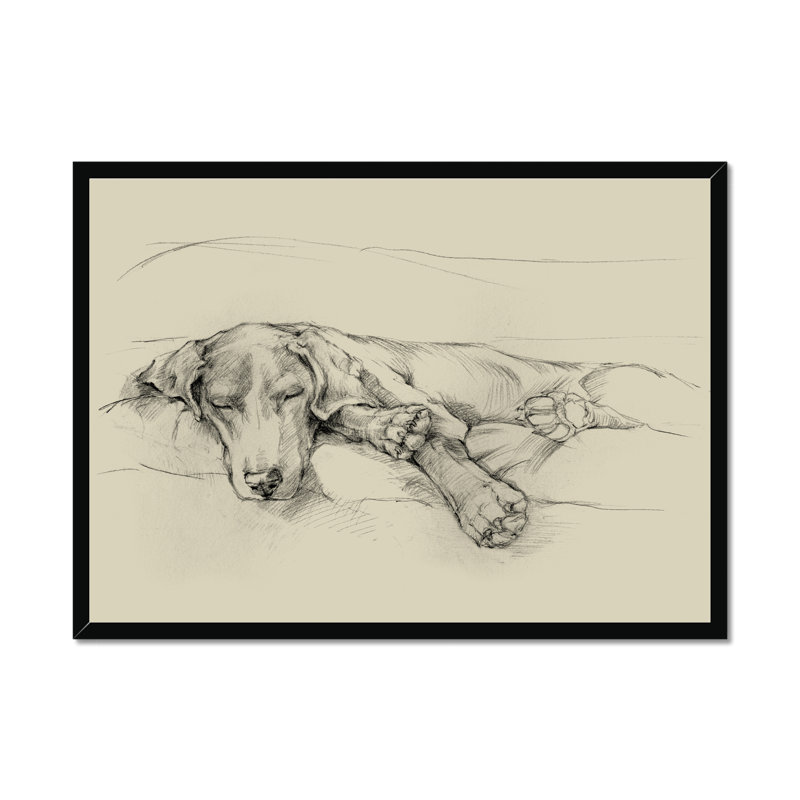 Dog Days II by Ethan Harper - Print, 34cm H x 50cm W, Black Framed Paper Print