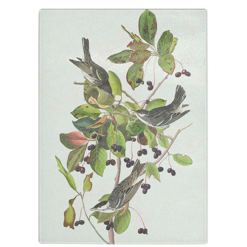 Tempered Glass Poll Warbler Birds Chopping Board, 28.5 cm W x 39 cm L