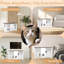 Enceinte de litière pour chat 47,25 "avec DEL, escalier de maison et poteau à griffes, table d'appoint, blanc - isole les odeurs, surface supérieure de grande capacité facile à nettoyer, odeurs