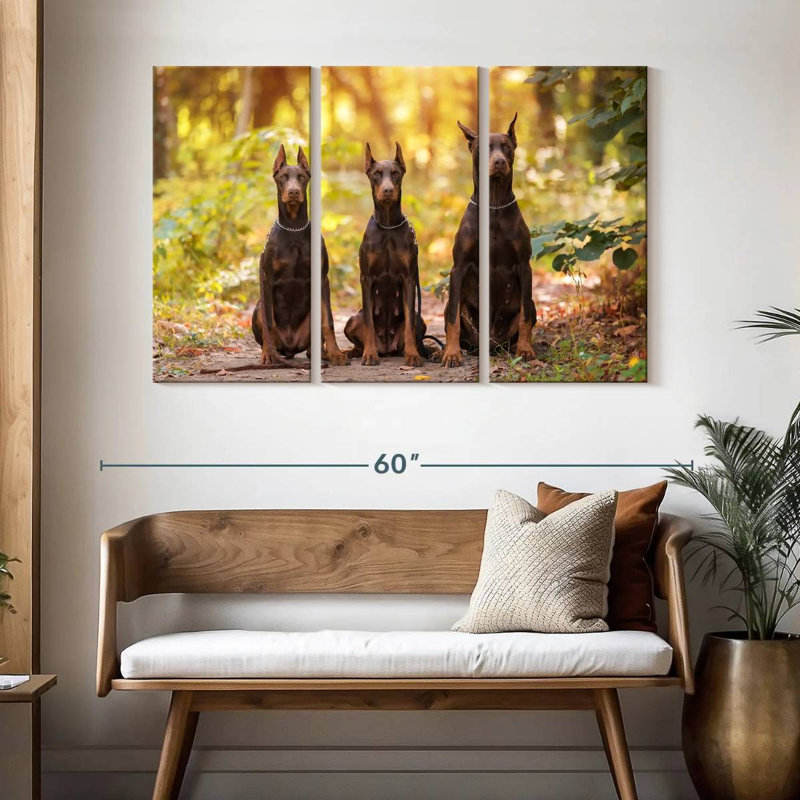 Brampt Doberman Pinschers, 32" H x 50" W