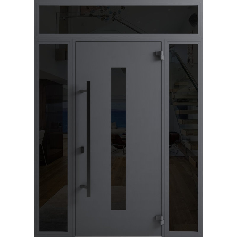 130 avant extérieure porte en acier pré-suspendue Ronex 0130 gris 2 côtés et fenêtre extérieure supérieure entrée latérale en métal peint moderne