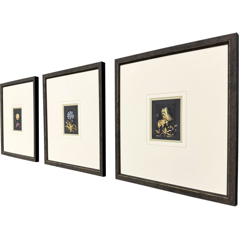 Petite Wonders III Framed Art