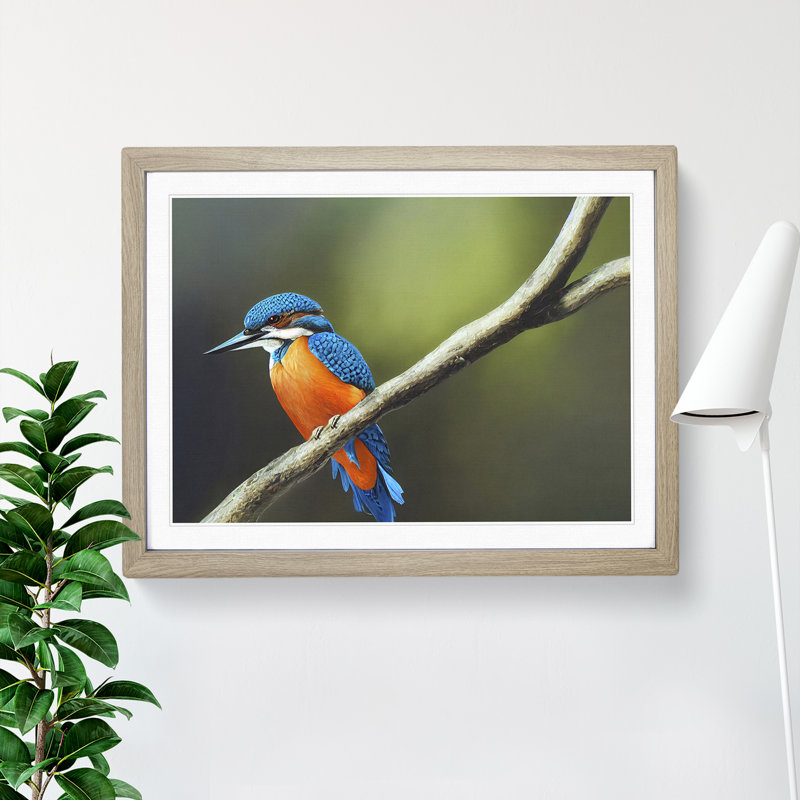 XH1022-9498X Unreal Kingfisher Bird 1 Piece Single Picture Frame Wall Art, 34cm H x 46cm W x 2cm D, Oak Framed