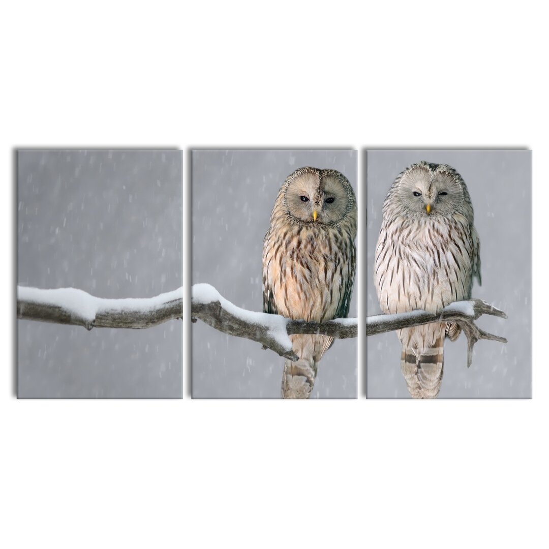 3-tlg. Leinwandbilder-Set Two Owls on a Winter Landscape