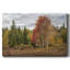 Toile tendue Woodland-666219345