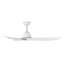 Ventilateur intelligent 48 "Hinkley Fan Liv-122614474-122614475