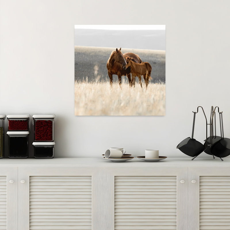 «Montana Mares», art chevalier contemporain n ° 1, H 18 po x l 18 po