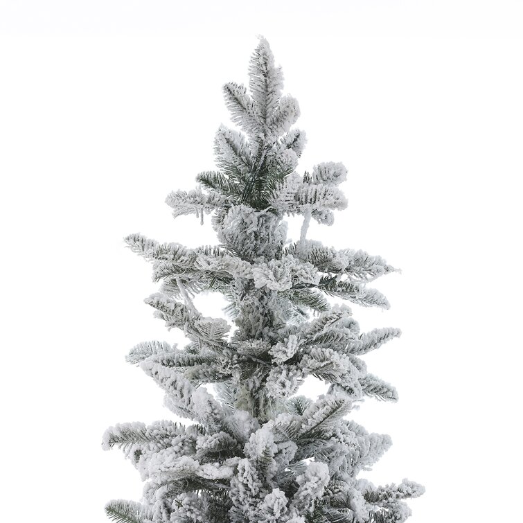 The Holiday Aisle® 7' Green Realistic Fir Flocked/Frosted Christmas Tree  with 340 Lights LED & Reviews