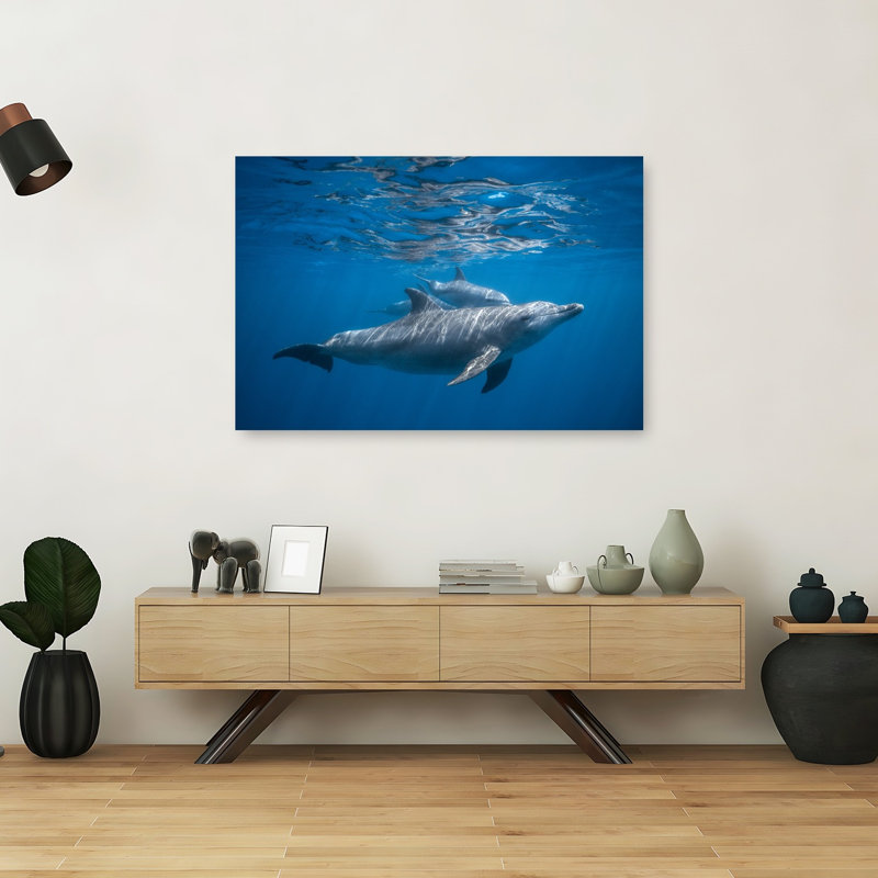 Underwater Dolphin Family Dolphin Tropical Wall Art Print 1 Piece Wrapped Canvas Wall Art, 101.6cm H x 152.4cm W
