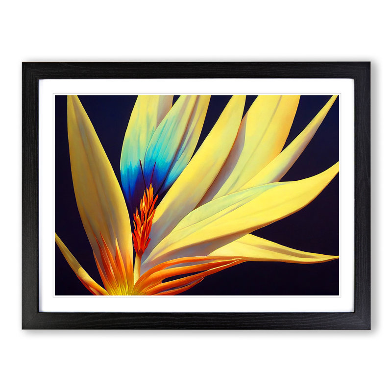 Unforgettable Bird of Paradise Flower - Framed Print, Black, 34cm H x 46cm W x 2cm D