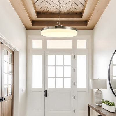Oprisor 1 - Light Brushed Nickel LED Novelty Pendant