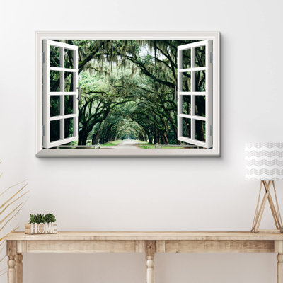 Fenêtre Vue de route sous les arbres du sud Photographie de paysage Réalisme Rustique
