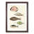 Walnut Framed selected