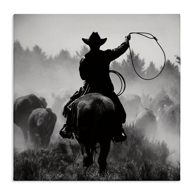 «Cowboy Swinging Lasso», art mural sur toile par Danita Delimont, H 30 po x l 30 po
