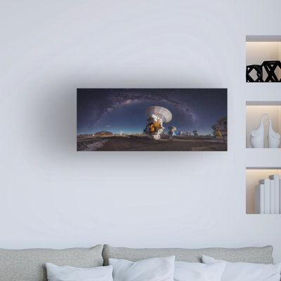 Cosmos  Print