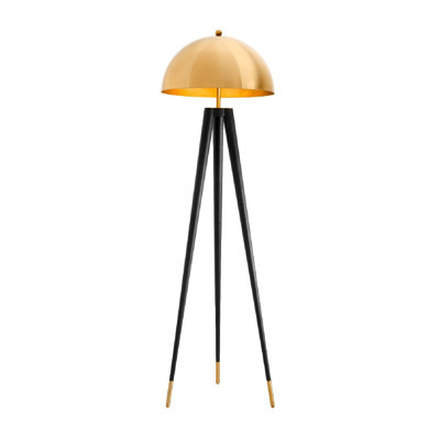 Coyote 65'' Tripod Floor Lamp