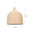 Luminaire suspendu en forme de dôme simple Owatonna-743255564