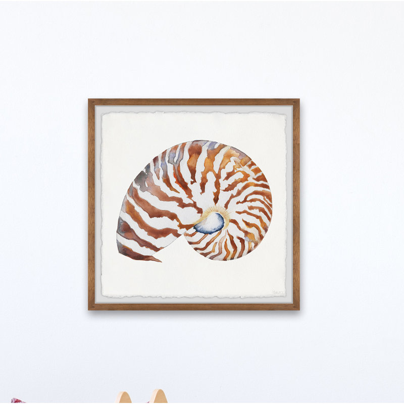 «Tiger Shell», reproduction encadrée, H 12 po x l 12 po x P 1,5 po