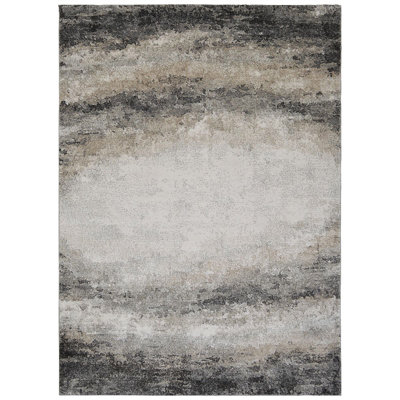 Indoor Rug