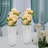 Jesselee Pot Planter-2024250740