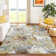 Machine Washable Indoor/Outdoor Molewski ACN2340 Floral Rug