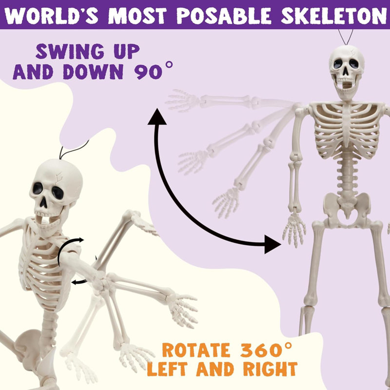 5 PCS Posable Halloween Skeletons Full Body