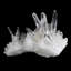 Cristal de quartz Varina Colombian