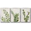 Botanical Wash I 3 pièces-97758417-97758420