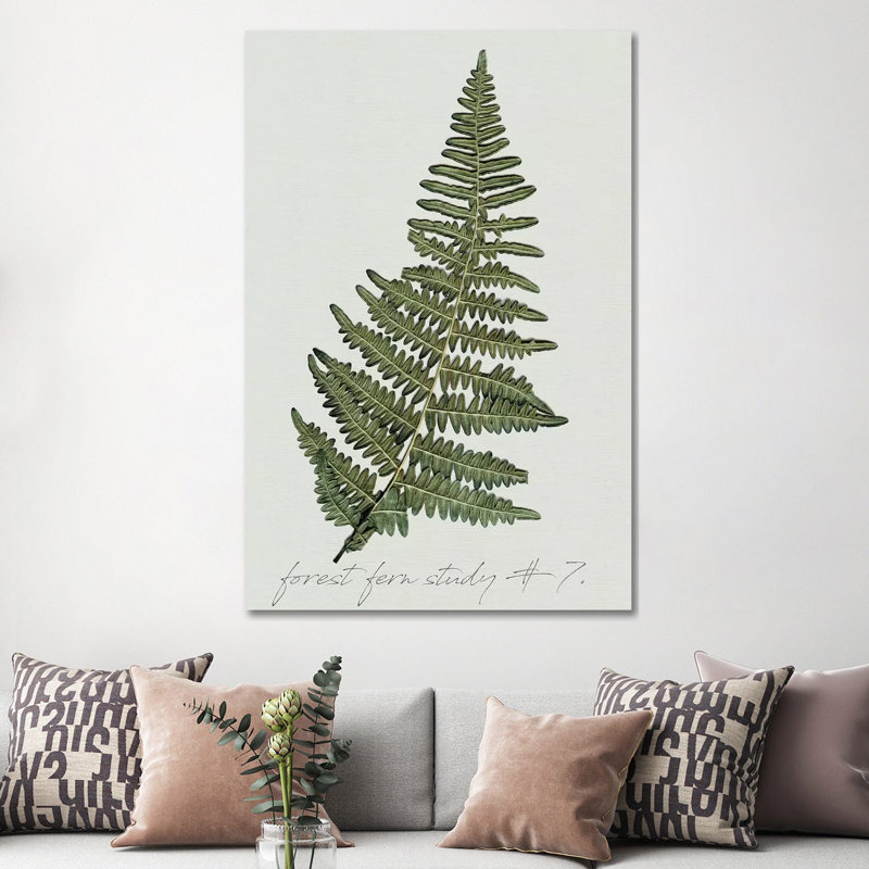 Fern Fernandes II par Carol Robinson, impression sur toile tendue, H 18 po x l 12 po x P 1,5 po