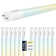 Equivalent T8 G13/Bi-pin LED Bulb