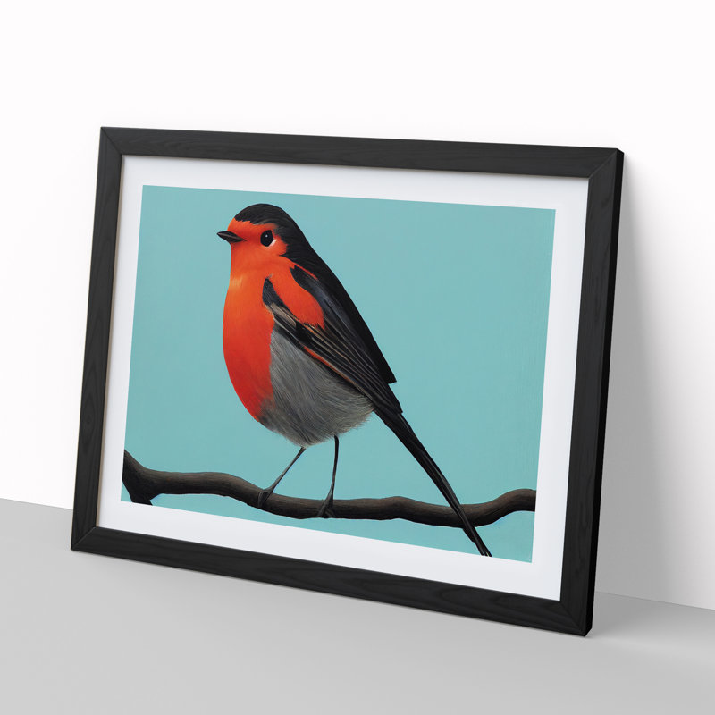Enlightened Robin Bird - Single Picture Frame Print, Black Framed, 46cm H x 64cm W x 2cm D