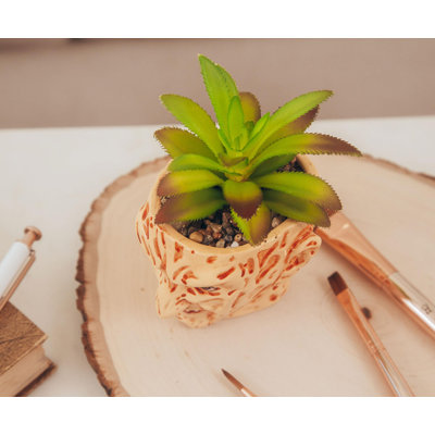Plante grasse artificielle 6,5 "en pot
