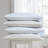 Laura Ashley Printed Cotton Percale 2 Piece Pillowcase Set-98861822-96812721