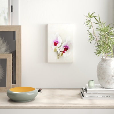 Sylvia Cook - Wrapped Canvas Print