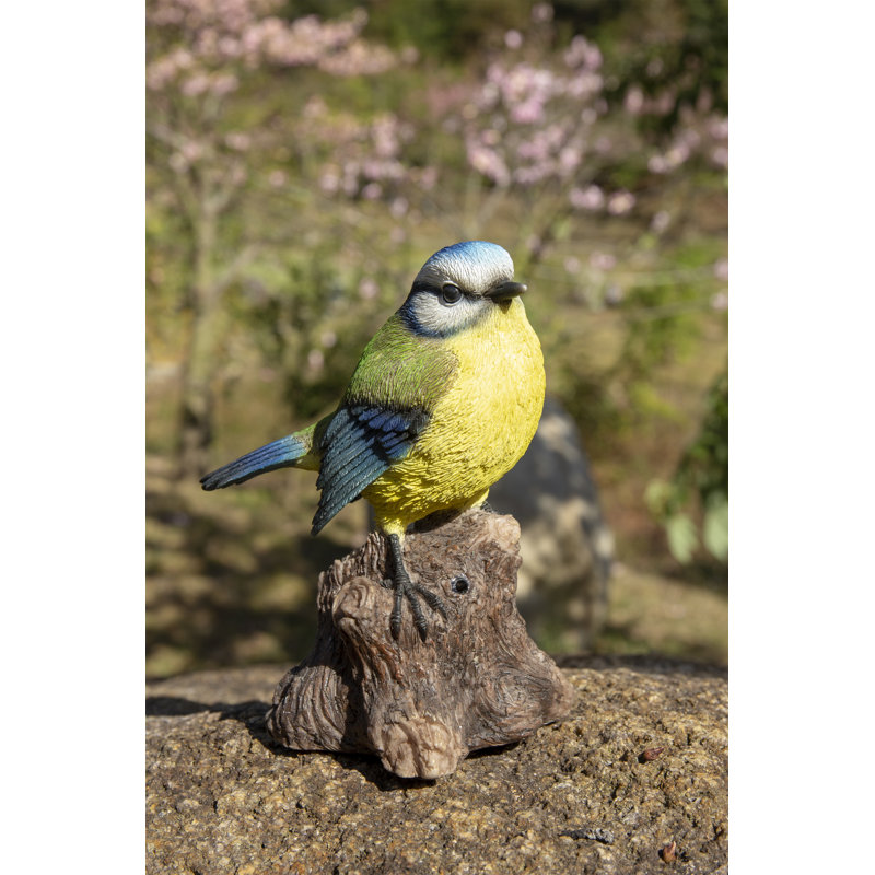 Mésange chantais activé par le mouvement