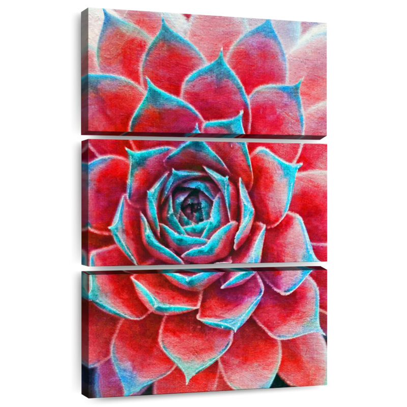 Harnek Crimson Succulents