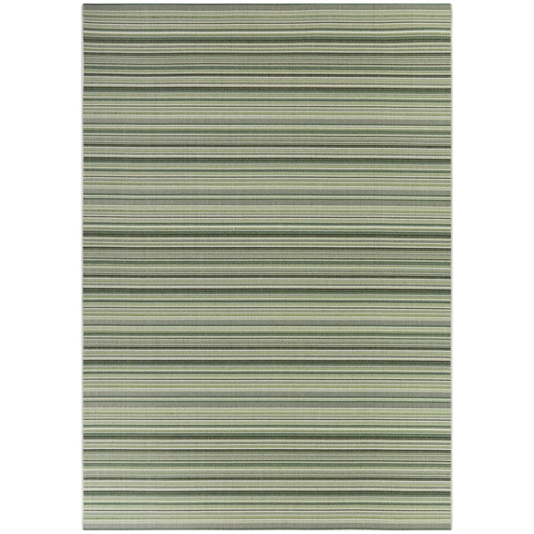 Striped Indoor / Outdoor Rug