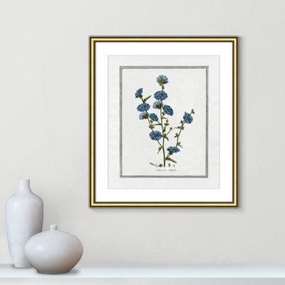 Colombe Soft Botanical I - Art encadré avec fond perdu