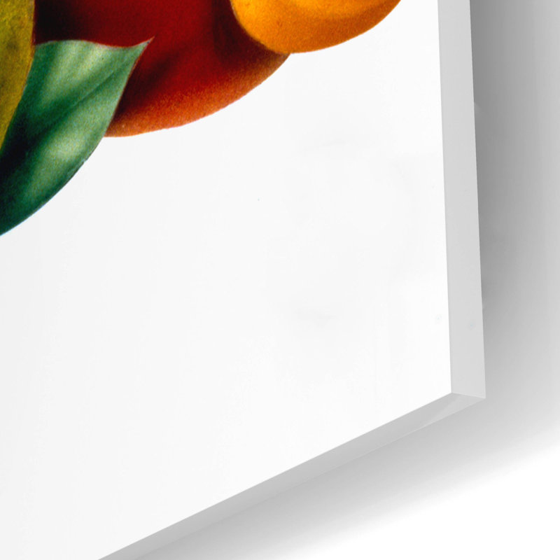 Red Barrel Studio® «Fruit» par Harro Maass, art mural en verre acrylique, H 12 po x l 16 po x P 0,2 po