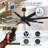 Ariella - Eight Blade Ceiling Fan-1776851491-1776851489